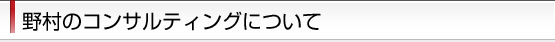 野村のコンサルティングについて
