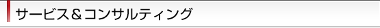 サービス＆コンサルティング