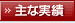 主な実績