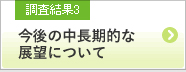 調査結果3 今後の中長期的な展望について
