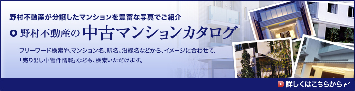 野村不動産が分譲したマンションを豊富な写真でご紹介　野村不動産の中古マンションカタログ