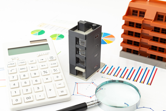 20241025_3.jpg