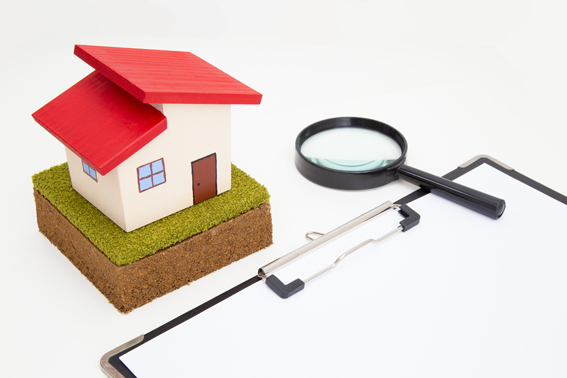 seller_20251023_16.jpg