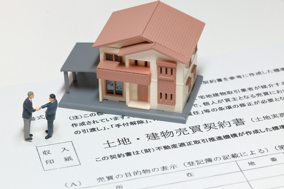 seller_20260427_02.jpg