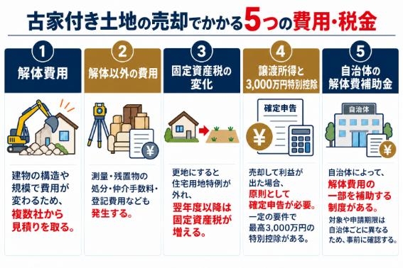 seller_202610225.jpg
